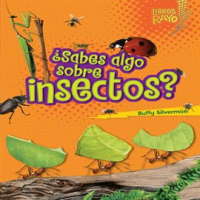 __Sabes_Algo_Sobre_Insectos___Do_You_Know_About_Insects__